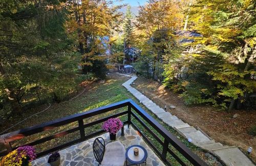 Sinaia Chalet De Esquí | Wild House