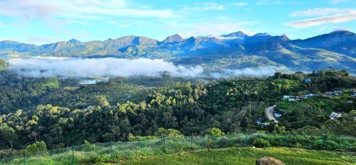 Udumbanchola Casa | Wild Lily