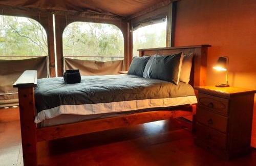 Biboohra Otro | Wild Nature Lodge, Mareeba Wetlands