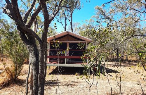 Biboohra Otro | Wild Nature Lodge, Mareeba Wetlands