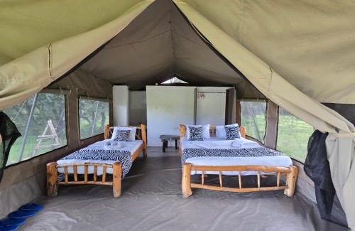 Maasai Mara Otro | Wild Nest Mara camp