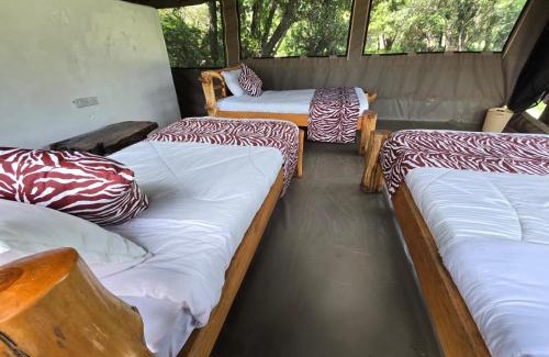 Maasai Mara Otro | Wild Nest Mara camp