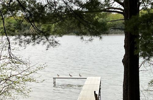 Interlochen Casa | Wild Refuge Lodge