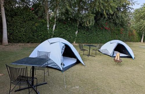 Viratnagar Complejo | WILD RIDGE SARISKA RESORT