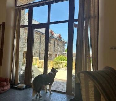 South Tawton Casa | Wild swimming, log burner & fishing lake