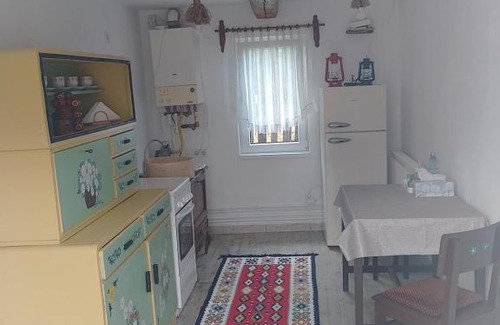 Campulung Moldovenesc Casa | Wild-Traditional Bucovina