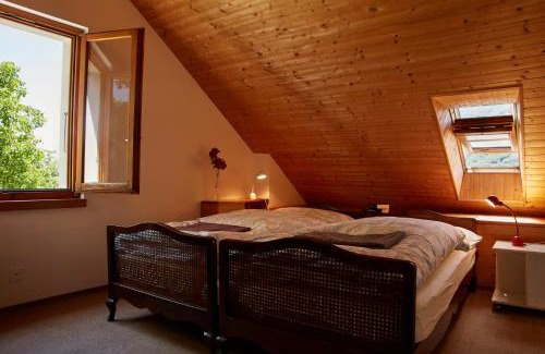 Isorno Apartamento | Wild Valley Secluded Apartment 3