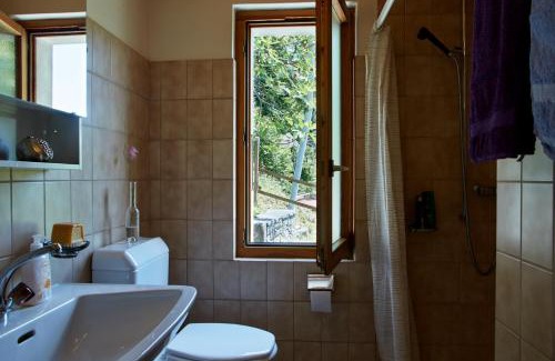 Isorno Apartamento | Wild Valley Secluded Apartment 3