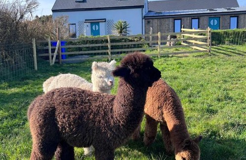 County Cork Casa | Wild Wild West Holiday Cottages