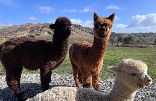 County Cork Casa | Wild Wild West Holiday Cottages