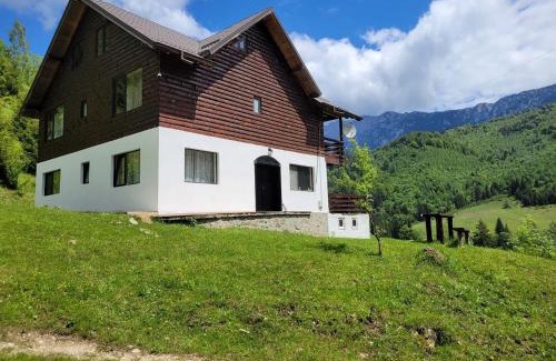 Rucar Cabina | Wild Wolf Chalet