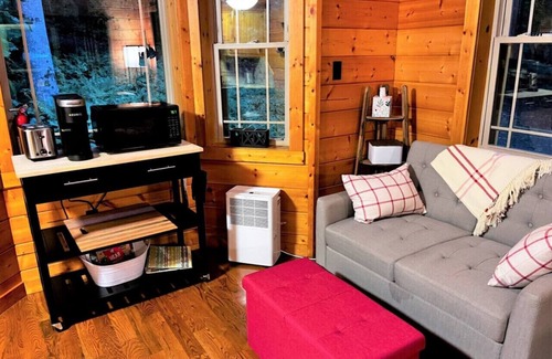 Meadows Of Dan Cabina | Wildcat Forest Cabin by Buffalo Mountain Getaway