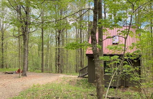 Meadows Of Dan Cabina | Wildcat Forest Cabin by Buffalo Mountain Getaway