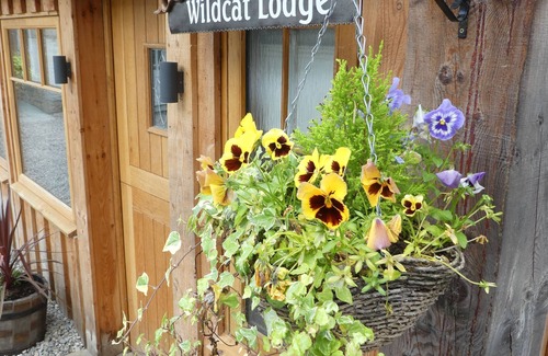 Boat of Garten Cabaña | Wildcat Lodge - Retreat Group