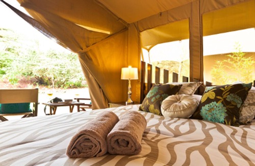 Nairobi Otro | Wildebeest Eco Camp