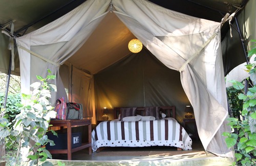 Nairobi Otro | Wildebeest Eco Camp