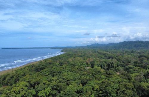 Cahuita Cabina | Wildlife Lodge Cahuita