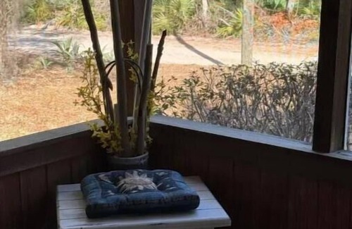 Edgar Casa | Wildlife Retreat in the Ocala National Forest