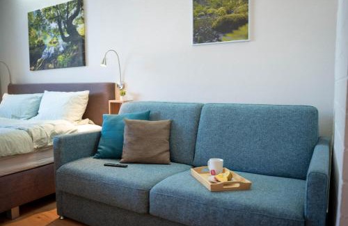 Sankt Englmar Apartamento | Wildwood Lodge Ferienwohnung mit Wellness