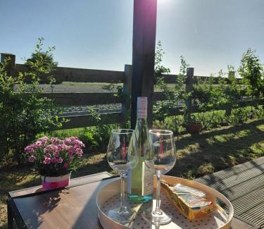 t Zand Casa | Wildzicht Cosy Cabins