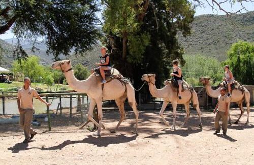 Oudtshoorn Cama Y Desayuno | Wilgewandel Holiday Farm & Day Restaurant