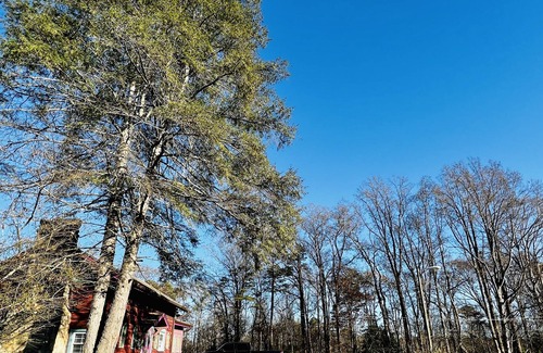 Wilkesboro Cabina | Wilkes Forest Retreat, Family Cabin