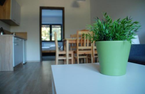 Lgin Apartamento | Willa Konwalia Wieleń