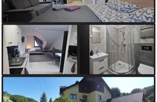 Rytro Apartamento | Willa Lawenda