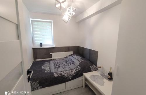 Cetniewo Apartamento | Willa Loka Apartamenty
