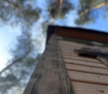 gmina Kamionka Cabina | Willa na Drzewie