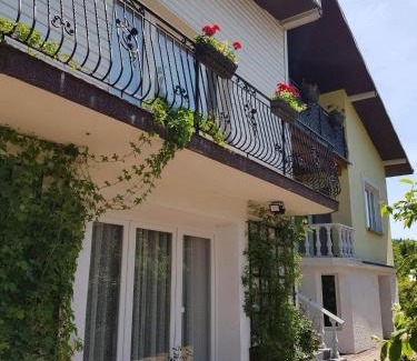 Rymanow-Zdroj Apartamento | Willa Różana