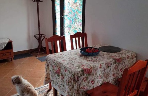 Rymanow-Zdroj Apartamento | Willa Różana
