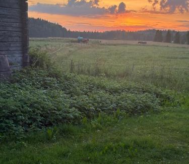 Iisalmi Casa | Willa Stonehill