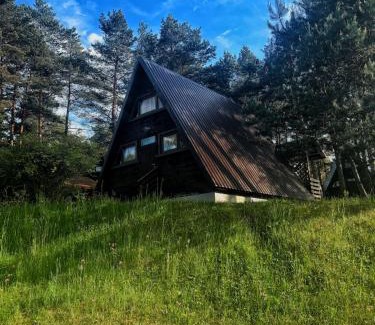 Pilica Complejo | Willa u źródeł
