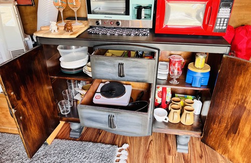 Nemo Casa | Willie Cleo, the Vintage Holiday Rambler in Walnut Springs