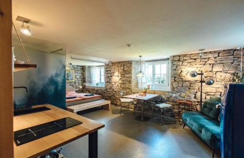 Schwarzach Apartamento | Willkommen im Rustico - Deinem Rückzugsort zwischen Bergen und Bodensee