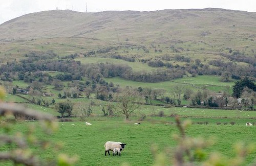 Dromore Casa | Willow Cottage Dromara