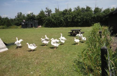 Fifield Casa | Willow Court Farm-Studio North & Petting Farm, 8 mins from Legoland & Windsor, 15 mins from Lapland UK