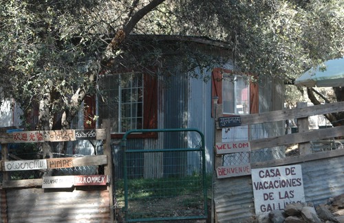 Mountain Ranch Cabina | Willow Creek Natural LLC Farm Stay-Cation / Tours