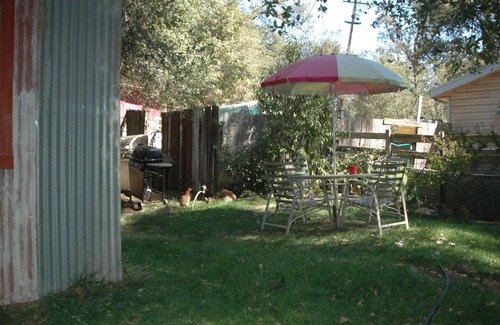 Mountain Ranch Cabina | Willow Creek Natural LLC Farm Stay-Cation / Tours