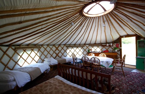 Haslemere Otro | Willow Yurt