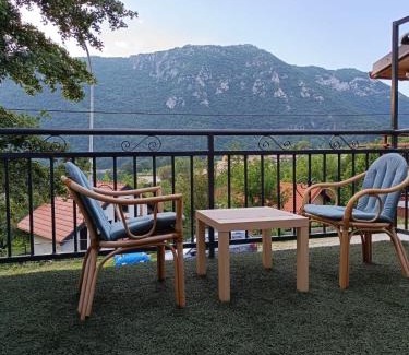 Pluzine Apartamento | WIN apartment