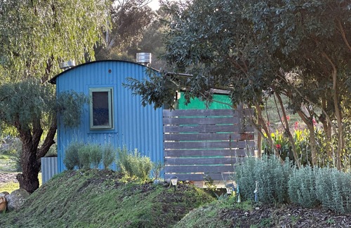 Napier Cabina | WindHorse Shepherds Hut situated on our rustic eco equestrian small holding.