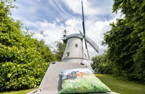 Cuxhaven Casa | Windmühle Betty an der Nordsee