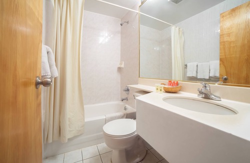 Bowery Hotel | Windsor Hotel