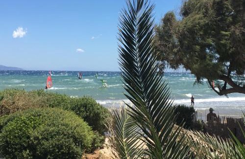 Spata-Artemida Apartamento | Windsurfing seaside apartment Artemida