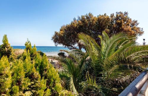 Spata-Artemida Apartamento | Windsurfing seaside apartment Artemida
