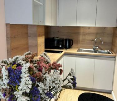 Citluk Apartamento | Wine Apartment Brkic