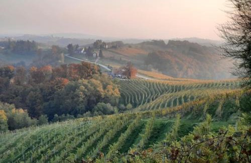 Ljutomer Casa | Wine & Art Lodge Jeruzalem
