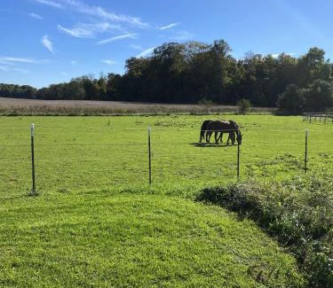 Benton Harbor Casa | Wine Country Oasis Charming Farmhouse 10 Acres